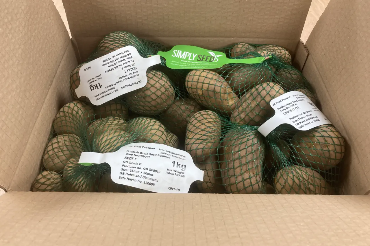 Storing Seed Potatoes after Delivery.